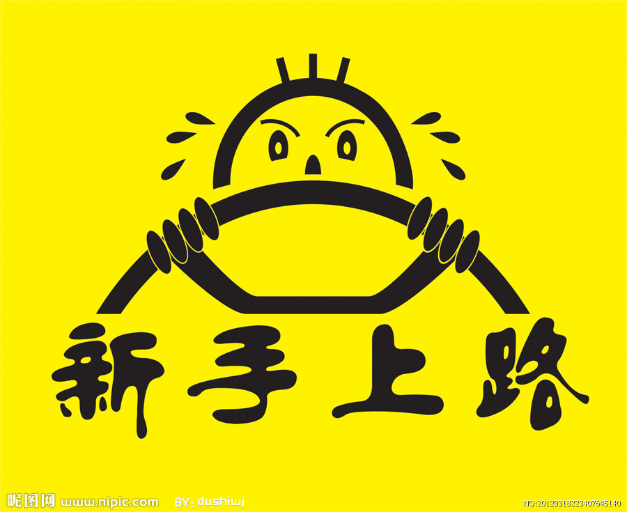 保定奇葩女子无牌无证想上高速 车上贴"长发司机新手上路"